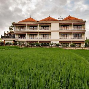 Paon Desa Ubud